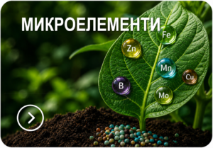 МИКРОЕЛЕМЕНТИ
