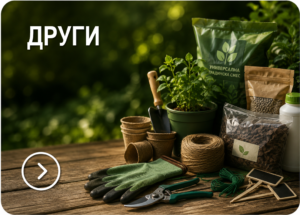 ДРУГИ