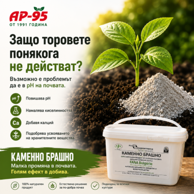 каменно брашно