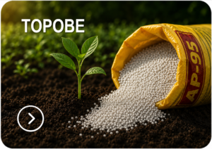 ТОРОВЕ
